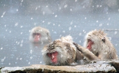 お風呂上がりのストレッチが効果的な理由