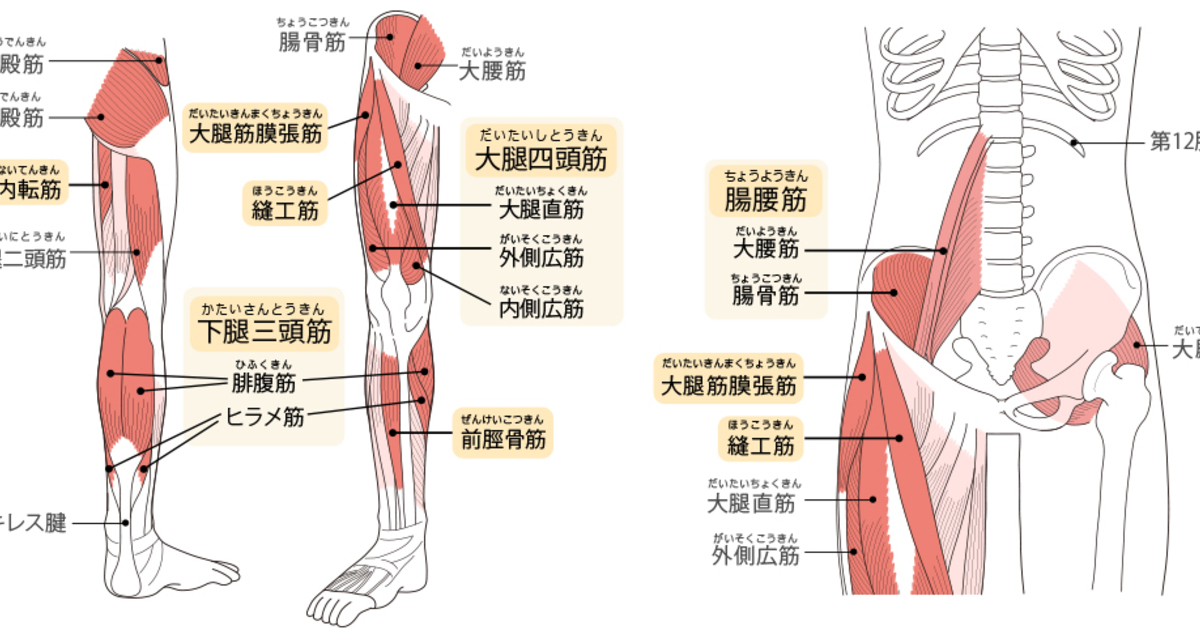 6 13 水 膝のお悩み フリーストレッチング大宮店